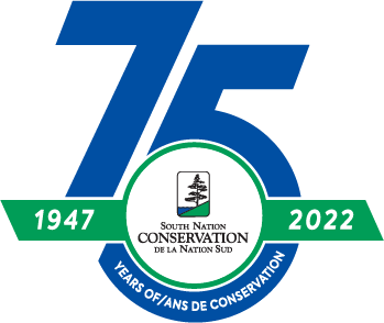 75th Anniversary Logo